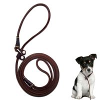 Pet Dog Show Slip Leash Super Soft and Lightweight Real Leather Puppy Dog Training Slip Lead Leather Leash Collar for Small Dog Collars