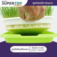 ▼ชุดทดลองเพาะมือใหม่ (แบบไร้ดิน) SUPERTOP | Planting Kit Microgreen◎