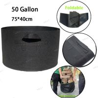 50 Gallon Hand Held Plant Grow Bags High Bearing Fabric Pot Jardim Flowers Plant Growing Grow Garden Tools 17TH