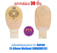 แป้นพร้อมถุงอุจจาระ Aurum 13-60mm Welland (XMHDM513) (ยกกล่อง 30 ชิ้น)