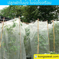 มุ้งขาว โรงเรือน กันแมลง ความถี่ 16 ตา ขนาด 2.5*10 เมตร