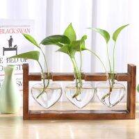 【 YUYANG Lighting 】 Hydroponic Glass Vintage