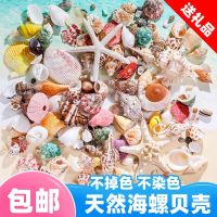 [COD] conch shell handmade diy fish tank landscaping coral painting decorative specimen roll shellfish hermit crab