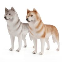 OozDec Childrens Simulated Husky Pet Dog Model Sled Dog Gray and Yellow Solid Model of The Canine Family Biharidae
