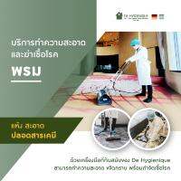 แอลกอฮอล์75% De Hygienique และคูปองทำความสะอาดพรม