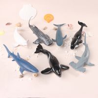 จำลอง Marine Sea Life Whale Figurines Shark Cachalot ตัวเลขการกระทำ Ocean สัตว์ Dolphin Hammerhead ของเล่นเพื่อการศึกษา