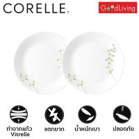 Corelle Green Delight จานอาหาร จานแก้ว ขนาด 8.5 นิ้ว (21 cm.) จำนวน 2 ชิ้น [C-03-108-GD-2]