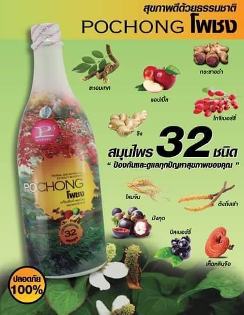 ซื้อ1แถม1-เครื่องดื่มสมุนไพร-โพชง-pochong-เครื่องดื่มบำรุงสุขภาพ-2-ขวดใหญ่