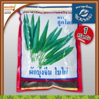 Hot Sale! เมล็ดพันธุ์ผักบุ้ง ผักบุ้งจีนใบไผ่ ไผ่เขียว (1 กิโลกรัม) เมล็ดผักบุ้งจีนเรียวไผ่ เมล็ดพันธุ์ผักสวนครัว Yummy!