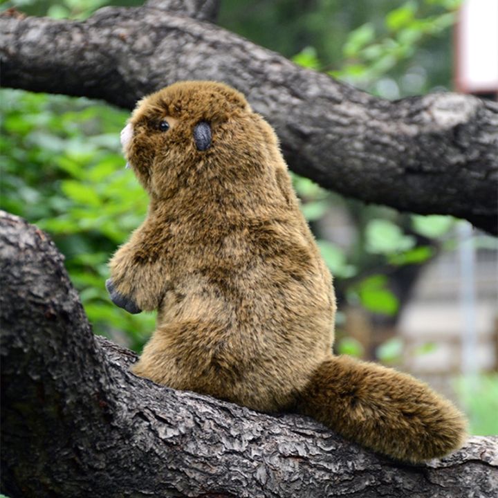 groundhog-ตุ๊กตาโมเดลตุ๊กตายัดนุ่นรูปสัตว์น่ารักน่ารักสำหรับเด็ก