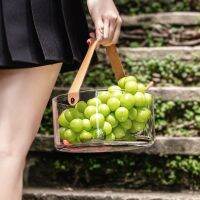 [COD] portable basket ice bucket fruit pet plate ins transparent desktop storage multi-functional box