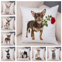 【hot】✵ Print Pillowcase Decoration Chihuahua Cushion Cover for Car Sofa 45x45cm