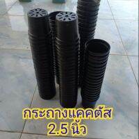 กระถางพลาสติกดำ 2.5" แพ็ค 10 ใบ