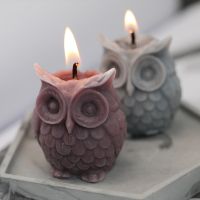 SJ 3D Owl Candle Mold Silicone Mold for Candle Making DIY Handmade Resin Molds for Plaster Wax Mould