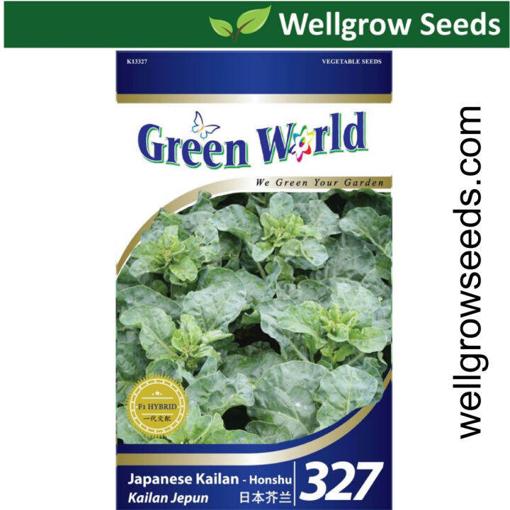 Green World Seeds Kailan Japanese Honshu Seeds Gw Lazada