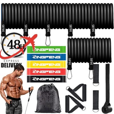 Upgraded Resistance Bands Exercise Workout Bands Set With Door Anchor Handles Legs Ankle for Gym Work Out Bodybuilding Exercise Bands