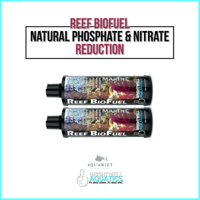 Reef Bio Fuel / Water Conditioners / อาหารแบคทีเรีย / Brightwell Aquatics