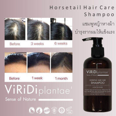 Viridi Plantae แชมพูสมุนไพร ออร์แกนิค ฮอร์สเทล Horsetail Hair Care Shampoo (280ml)