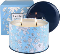 LA JOLIE MUSE Citronella Candles Outdoor Large, 14.1 oz, Long Burning 2-Wick Indoor &amp; Outdoor Candles, Pure Essential Oil, Natural Wax Tin Candle