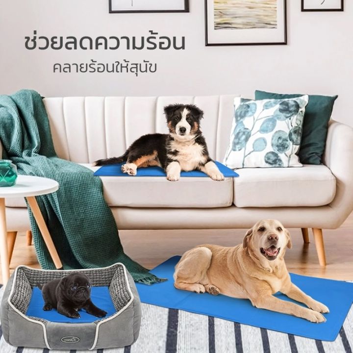 pet-cool-mat-ที่นอนสุนัข-แบบเย็น-ที่นอนแผ่นเจลเย็น-เย็นสบาย-สำหรับสุนัขและแมว-สุนัข-เบาะรองนั่ง-รองนอน-ที่นอนหมา-ที่นอนน