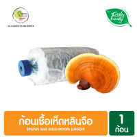 ก้อนเชื้อเห็ดหลินจือ 1 ก้อน Spawn Bag Mushroom Lingzhi