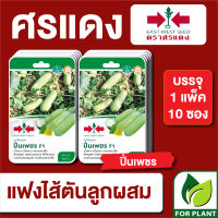 ผักซอง ศรแดง เมล็ดพันธุ์ พันธุ์ผัก แฟง ปิ่นเพชร F1 บรรจุแพ็คล่ะ 10 ซอง ราคา 230 บาท