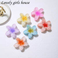 【♡Lovely girls house♡】น่ารักฤดูร้อนไล่โทนสีดอกไม้กิ๊บอะคริลิสำหรับผู้หญิงสาวหวานผมหางม้าผมกรงเล็บฉลามกิ๊บ B Arrettes อุปกรณ์ผม