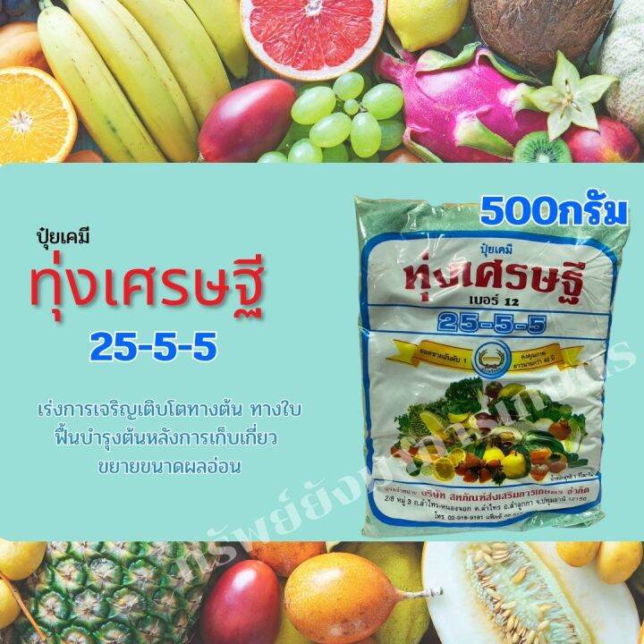 ปุ๋ยเกล็ด-ทุ่งเศรษฐี-25-5-5-500-กรัม-เร่งการเจริญเติบโตทางต้น-ทางใบ-ฟื้นบำรุงต้นหลังการเก็บเกี่ยว-ขยายผลอ่อน