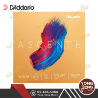 DAddario สายไวโอลิน รุ่น Ascente A310 4/4M  (Yong Seng Music)