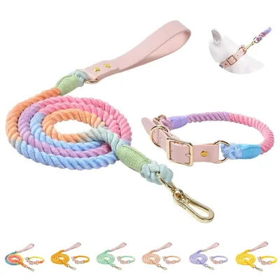 Colorful pu Leather Dog Collars Pet Dog Leash Lead set For Small Medium Large Dogs Outdoor Walking Training Leads Ropes supplies