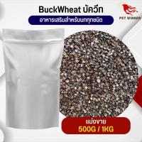 บัควีต BuckWeed สำหรับสัตว์ อาหารนก กระต่าย หนู กระต่าย กระรอก ชูก้า และสัตว์ฟันแทะ อาหารสำหรับสัตว์เลี้ยง (แบ่งขาย 500G / 1KG)