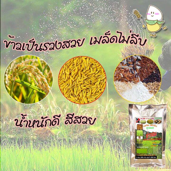 พร้อมส่ง-หัวเชื้ออาหารพืชฉีดพ่นทางใบ-1-ซอง-200-กรัม-สำหรับข้าว-หัวเชื้อเร่งดอก-38