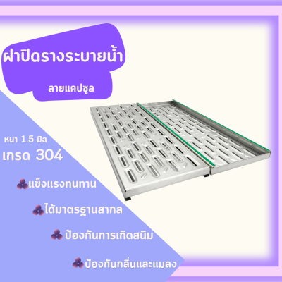 ฝาปิดรางระบายน้ำ ลายแคปซูล