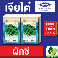 ผักซอง เจียไต๋ CT15 เมล็ดพันธุ์ พันธุ์ผัก ผักชี บรรจุแพ็คล่ะ 10 ซอง ราคา 70 บาท