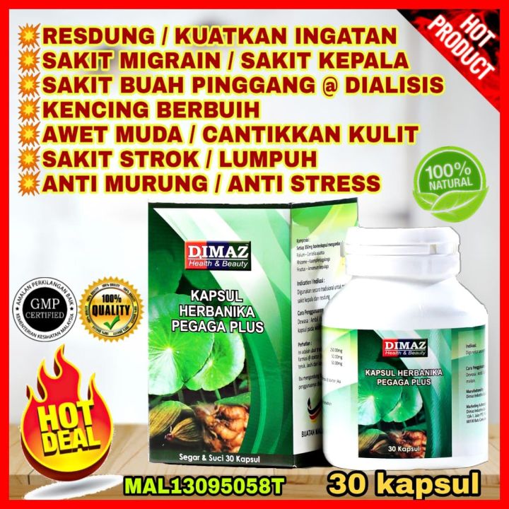 KAPSUL HERBANIKA PEGAGA PLUS DIMAZ | Lazada