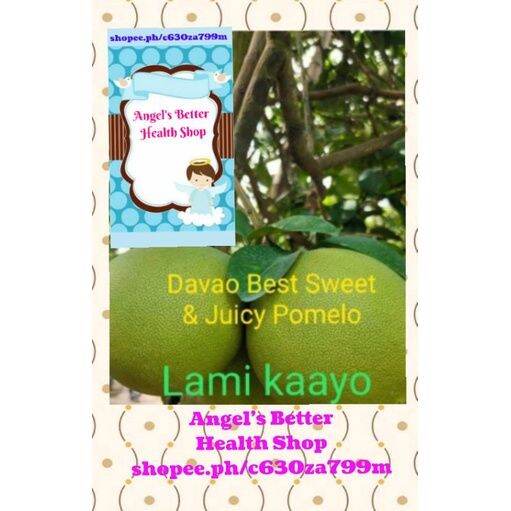 Davao Sweet Juicy Pomelo 5kg box. Fresh from the farm Lazada PH