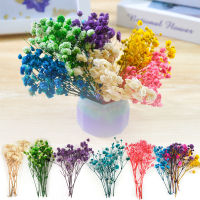 【Cw】1pc Artficial Gypsophila Dried Flower Small Fake Floral Plants Beautiful Bouquets Home Decor For Resin Epoxy Art Craft ！