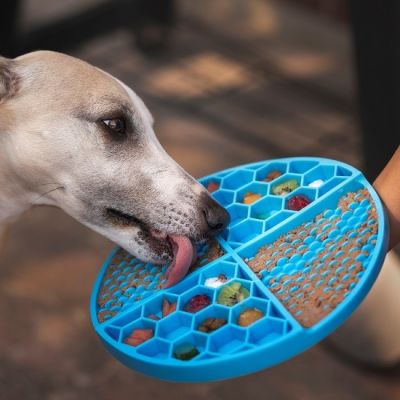 แผ่นรองให้อาหารสัตว์เลี้ยงแบบซิลิโคนสำหรับสุนัข แบบพกพา ทนทาน พร้อมจุกสุญญากาศ กันน้ํา สินค้าจัดส่งจากไทย