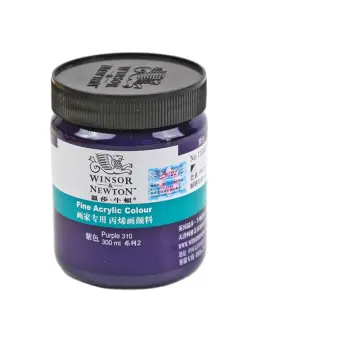 winsor & newton 300ml professional wall