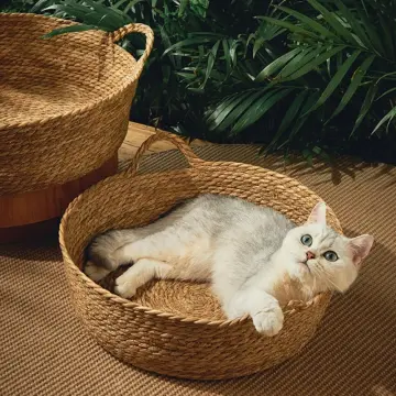 Cat hotsell basket online