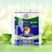 Nativo 750WG Đặc trừ thán thư, phấn trắng hiệu quả