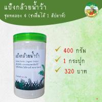 แป้งกล้วยน้ำว้า 400g มี อย ผงกล้วย ดิบ กล้วยผง หยุด ลด กรดไหลย้อน ไม่รวมเปลือก