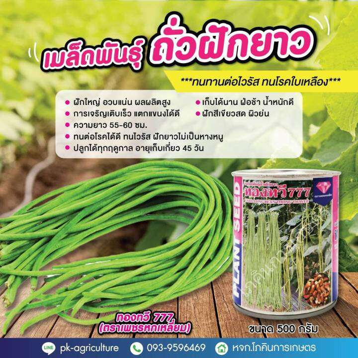 เมล็ดพันธุ์ถั่วฝักยาวทองทวี-777-ตราเพชรหกเหลี่ยม-ขนาด-500-กรัม