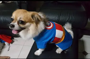 Captain marvel clearance dog shirt