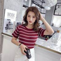 Korean Lady Girl Double Stripe Short Sleeve Knit T-Shirt