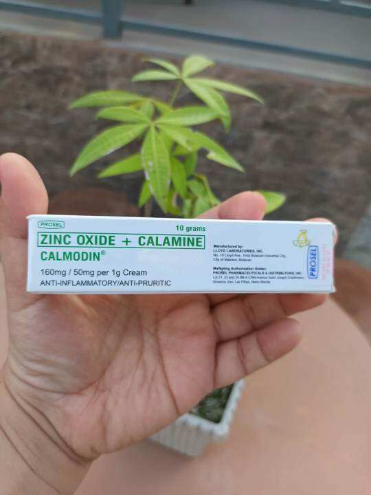 Calmodin (Zinc Oxide + Calamine) cream10gms Lazada PH