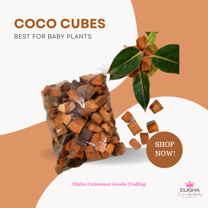 250g Coco Cubes For Plants l Pure Organic l Soil Conditioner l High