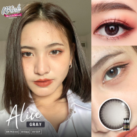 ร้านเลนส์สวยคอนแทค Wink  รุ่น Alice /สีGray เทา  และรุ่นGoddess3tone สีเทา ไม่มีค่าสายตา มี อย.นำเข้าจากเกาหลี (แฟชั่นสุดHit ขายดี)