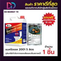 BACTOCEL แบคโตเซล 2001 5 ลิตร แถมน้ำใส 10 กรัม 1 ซอง  น้ำยาล้างห้องน้ำ โซดาไฟ ส้วมเหม็น ส้วมเต็ม  ท่อเหม็น ท่อตัน