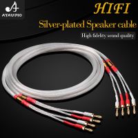 one pair hifi speaker cable high quality silver-plated speaker wire for connect amplifier and speaker